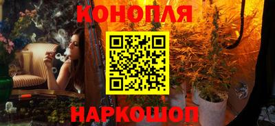прущий лед Новозыбков