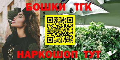 прущий лед Новозыбков