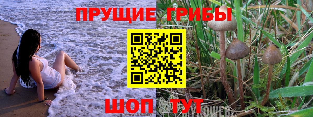 Галлюциногенные грибы ЛСД Черкесск