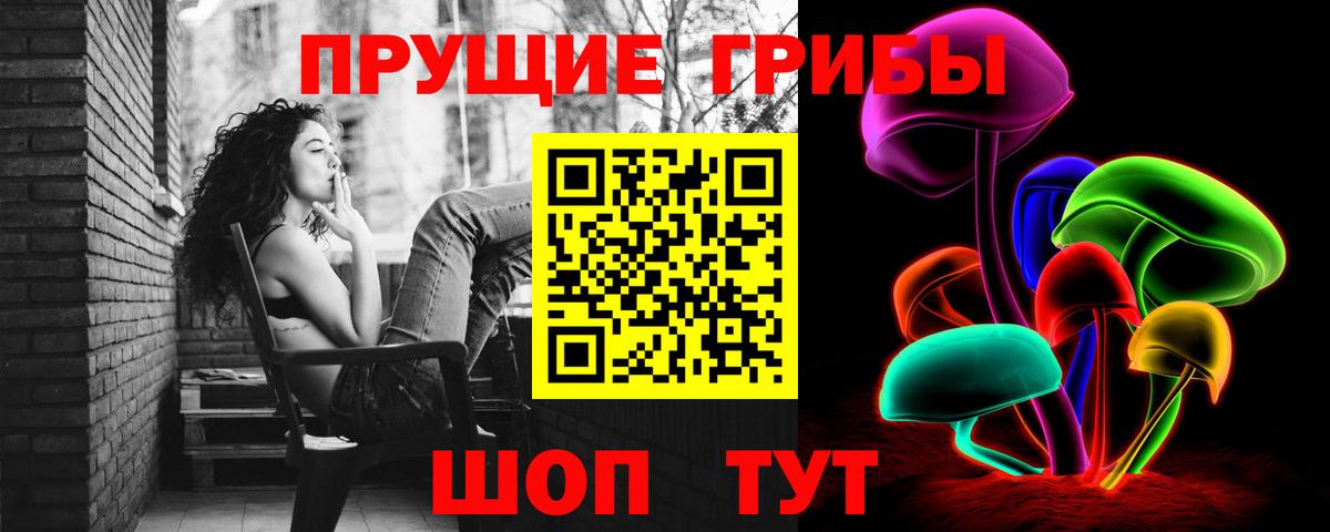 Галлюциногенные грибы Psilocybine cubensis  Вход с VPN  Черкесск 